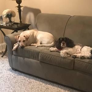 Meet your Posher, Daniel